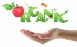 Organic Food Products hand 1