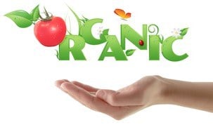 organic food products hand