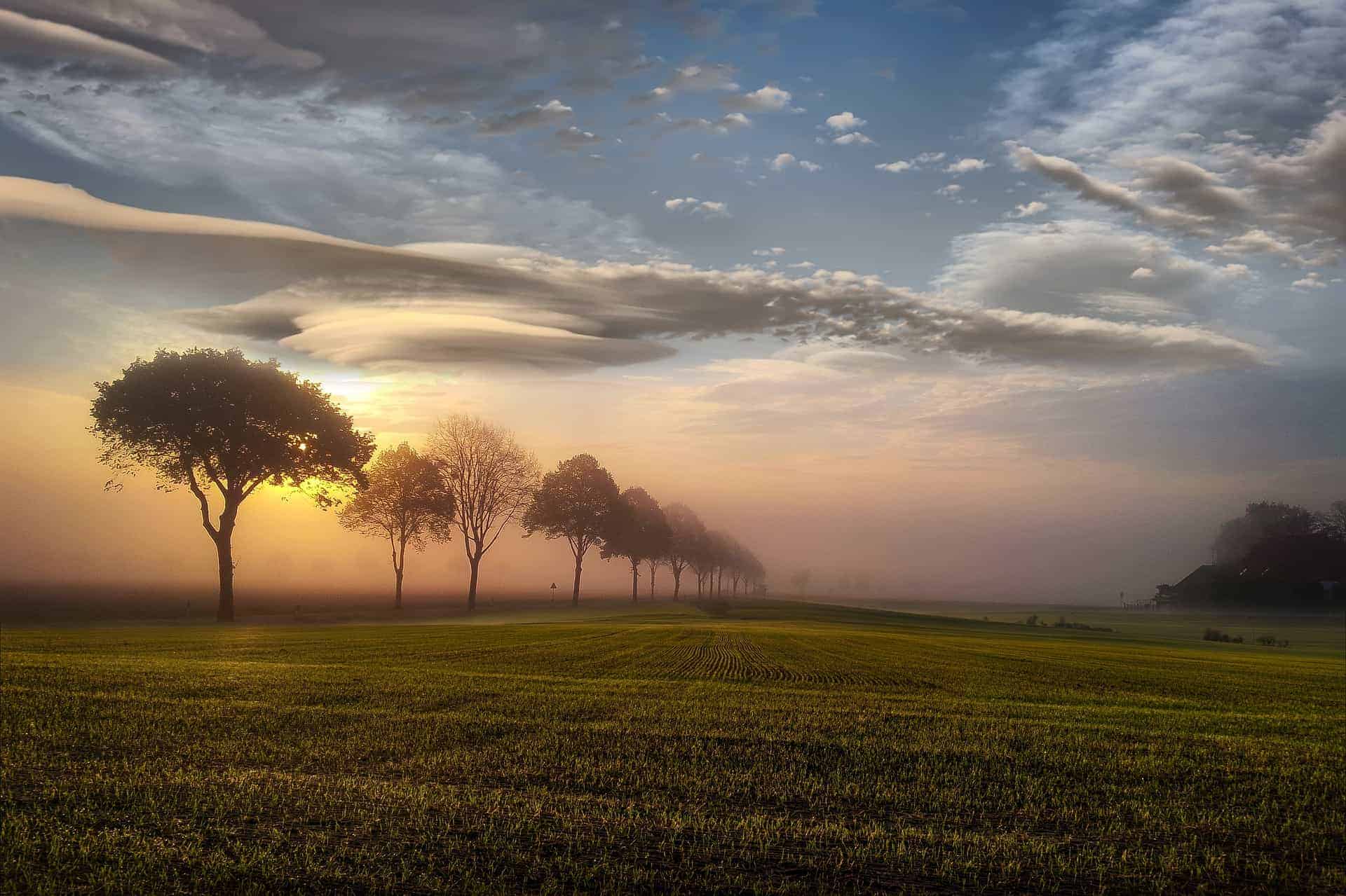 sunrise3